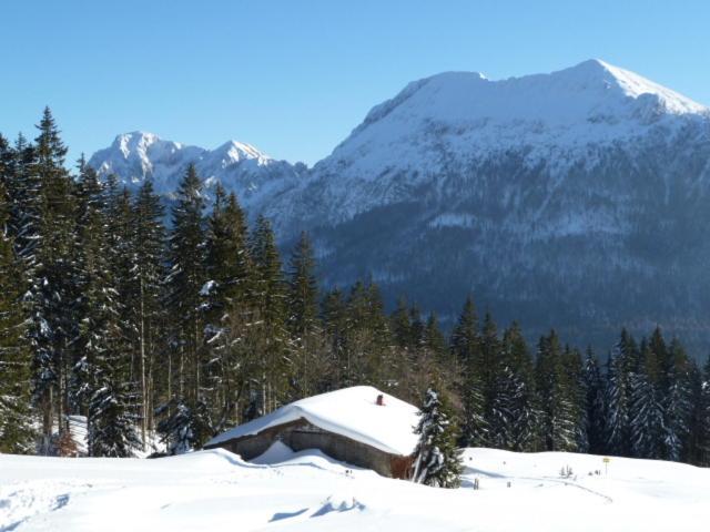 Gaestehaus Inzeller Hof Luaran gambar